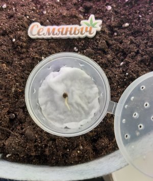 20220309_104410.jpg 20220309_104410.jpg