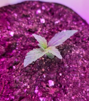 20220311_091605.jpg 20220311_091605.jpg