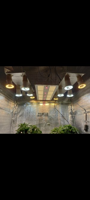 Screenshot_20220313-012757_Gallery.jpg Screenshot_20220313-012757_Gallery.jpg