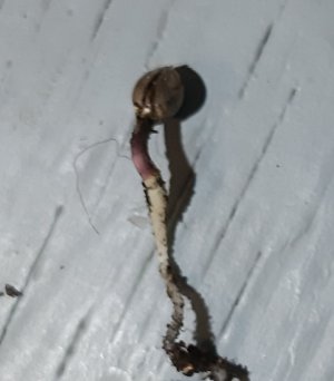 20220314_101355.jpg 20220314_101355.jpg