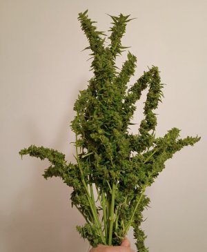 222222222.jpg 222222222.jpg