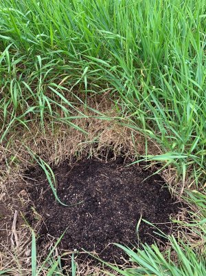 IMG_5647 — копия.jpg IMG_5647 — копия.jpg