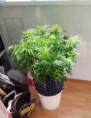 1000002010.jpg 1000002010.jpg