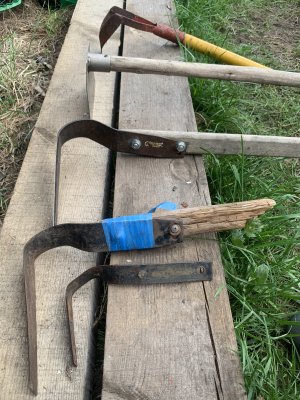 IMG_1492.jpeg IMG_1492.jpeg