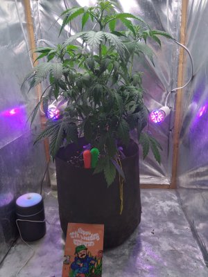 17180307348507936256806494874455.jpg 17180307348507936256806494874455.jpg