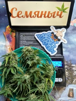 IMG_20240613_152245.jpg IMG_20240613_152245.jpg