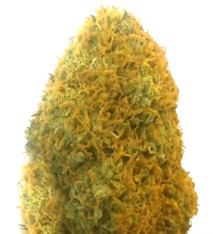 1718549831933.png 1718549831933.png