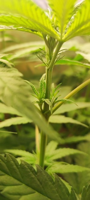 1000010457.jpg 1000010457.jpg