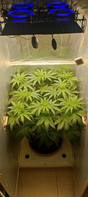 1000010463.jpg 1000010463.jpg