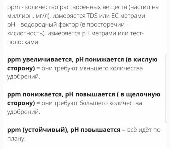 IMG_4061.jpeg IMG_4061.jpeg