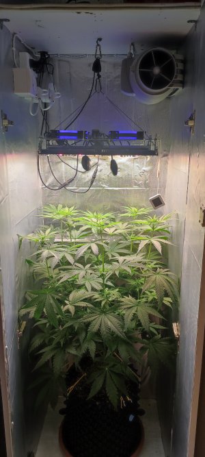 1000010502.jpg 1000010502.jpg