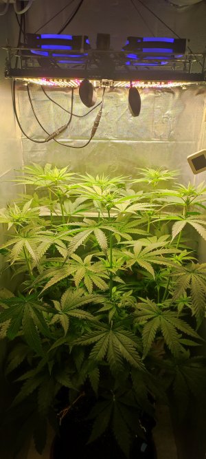 1000010518.jpg 1000010518.jpg