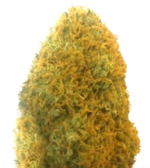 1718979805406.png 1718979805406.png