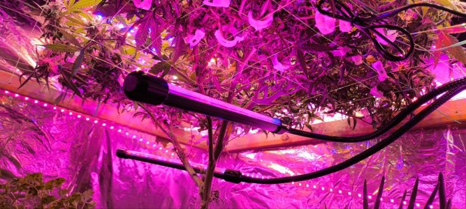 photo1719148012.jpeg photo1719148012.jpeg