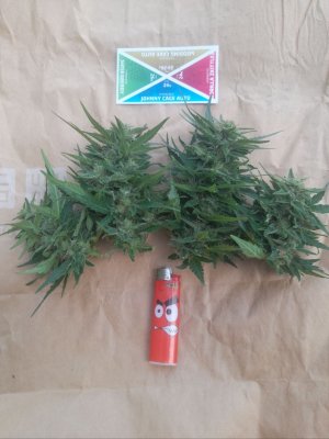 IMG_20240626_092909_833.jpg IMG_20240626_092909_833.jpg