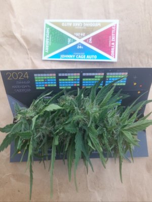 IMG_20240626_092906_908.jpg IMG_20240626_092906_908.jpg