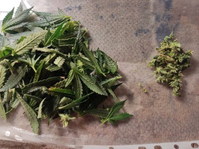 IMG_20240701_022811.jpg IMG_20240701_022811.jpg