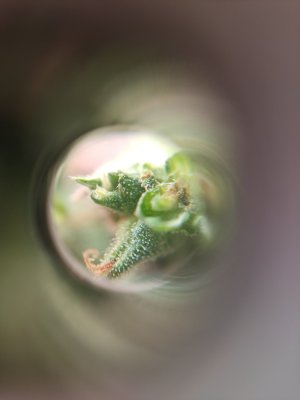 IMG_20240701_024947_1.jpg IMG_20240701_024947_1.jpg