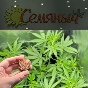 0BD13BEE-124B-4CFC-A202-515AC2F59457-46600-00001C61D9CD0280.jpeg 0BD13BEE-124B-4CFC-A202-515AC2F59457-46600-00001C61D9CD0280.jpeg