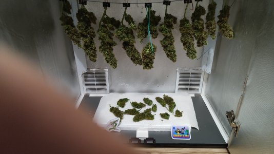 1000021008.jpg 1000021008.jpg