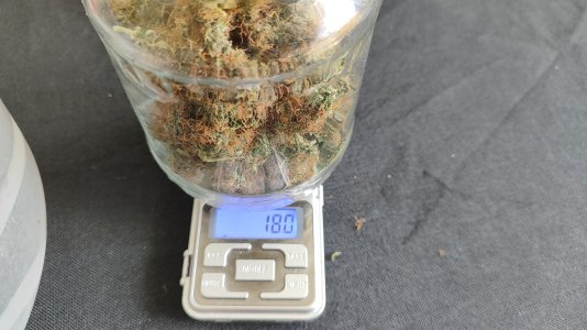 1000021007.jpg 1000021007.jpg