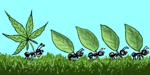 13154450.jpg 13154450.jpg