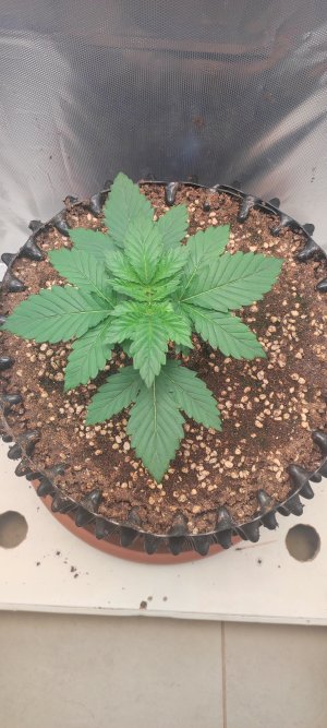 1000010741.jpg 1000010741.jpg