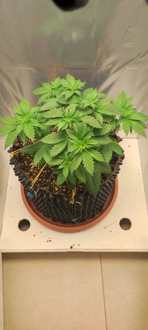 1000010844.jpg 1000010844.jpg