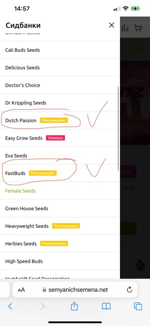 IMG_2842.jpeg IMG_2842.jpeg