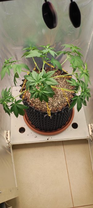 1000010879.jpg 1000010879.jpg