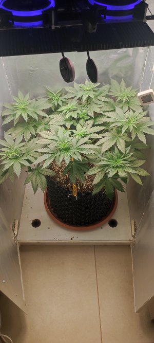 1000010923.jpg 1000010923.jpg