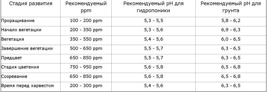 для растихи.png