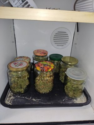 IMG_20240729_195005.jpg IMG_20240729_195005.jpg