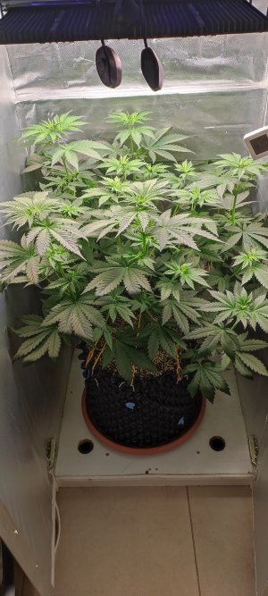 1000011018.jpg 1000011018.jpg