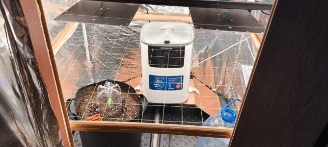 WhatsApp Image 2024-08-06 at 14.30.13.jpeg