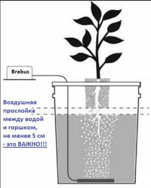 схема горшка.jpg