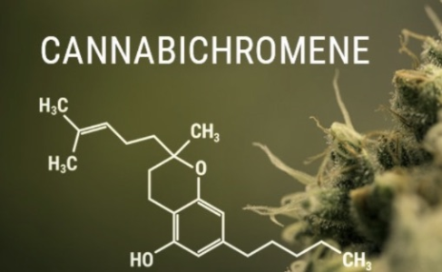 1722964586473.png 1722964586473.png