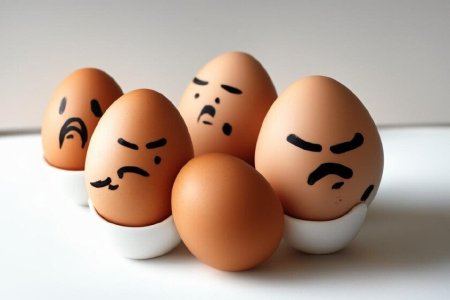 тухлые яйца (1).jpg