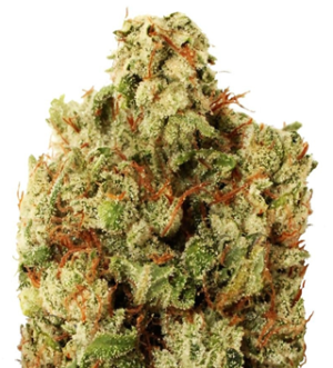 1724159239037.png 1724159239037.png