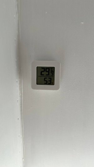 photo_2024-08-21_19-10-11 (2).jpg