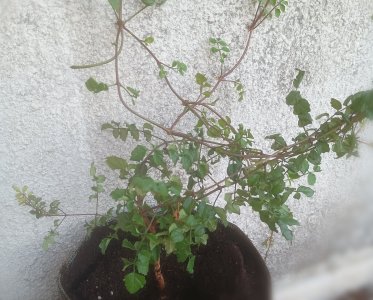 123123.jpg 123123.jpg