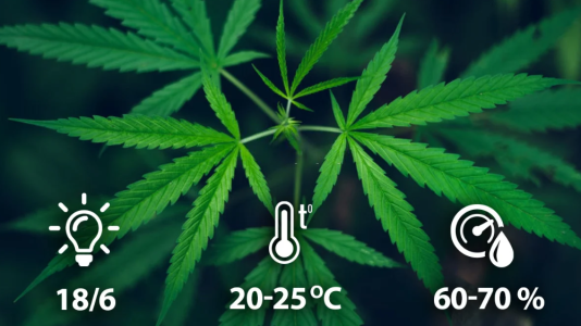 1725280181986.png 1725280181986.png