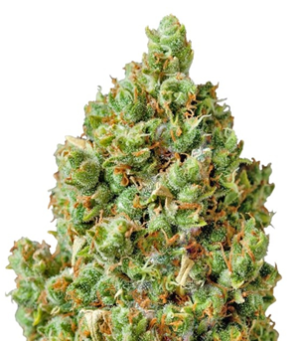 1725440475676.png 1725440475676.png