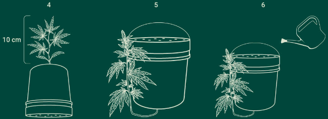 1725534251745.png 1725534251745.png