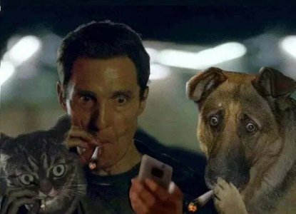 1710151595148139107.jpg 1710151595148139107.jpg