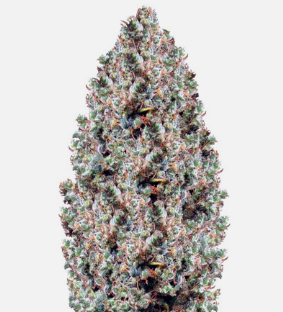 1726139511720.png 1726139511720.png