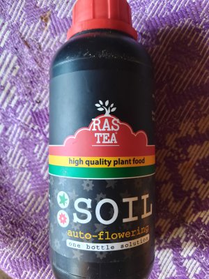 IMG_20240918_110110.jpg IMG_20240918_110110.jpg