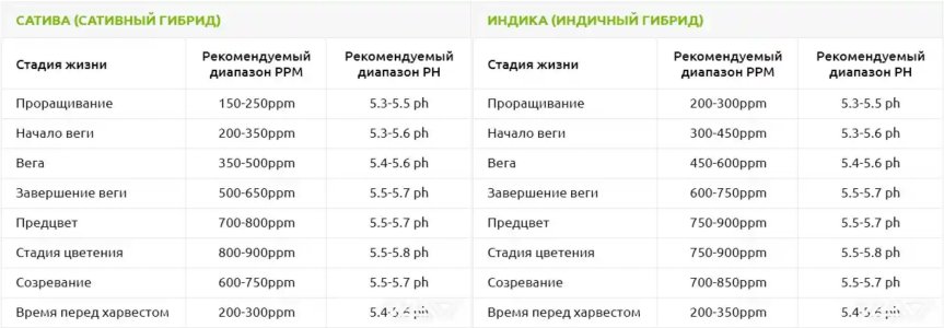 IMG_7214.jpeg IMG_7214.jpeg