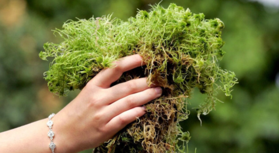 1728831976003.png 1728831976003.png