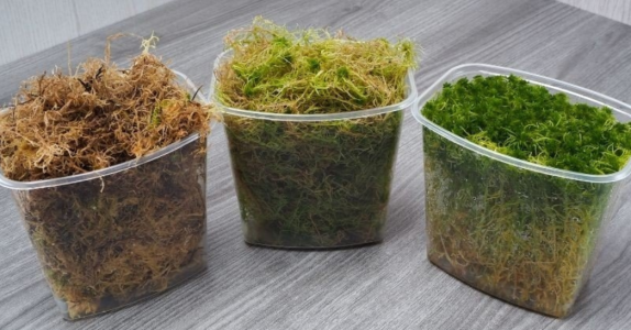 1728832475085.png 1728832475085.png